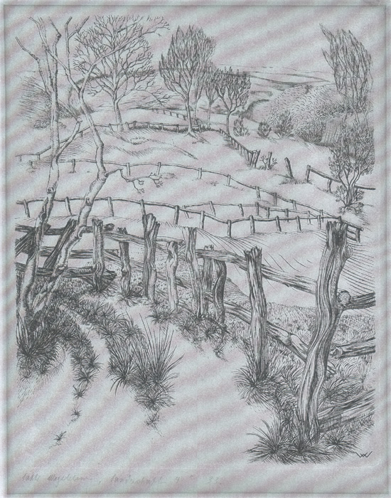 Landschaft 4