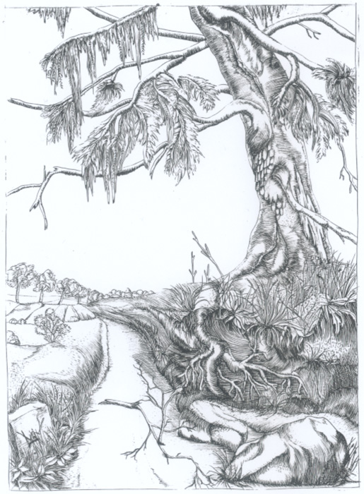 Weg am Baum